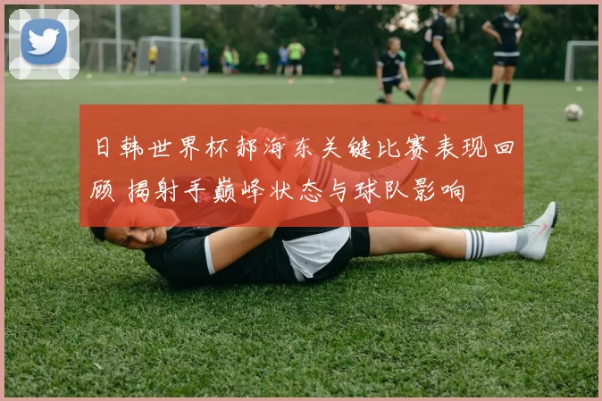 日韩世界杯郝海东关键比赛表现回顾 揭射手巅峰状态与球队影响