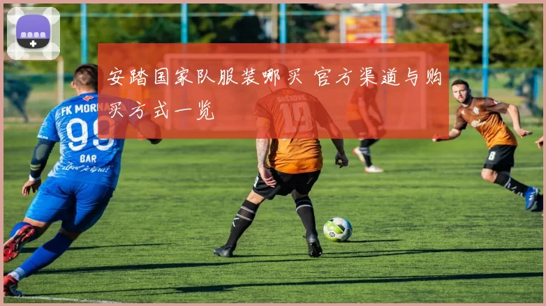 安踏国家队服装哪买 官方渠道与购买方式一览