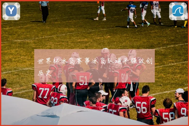 世界杯冰岛赛事冰岛队逼平强敌创历史