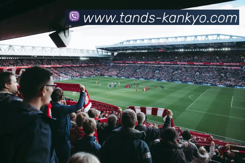 App Interface Preview